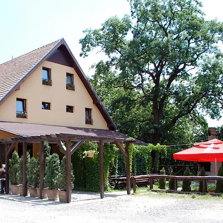 Guest house Pensiunea Stejarul