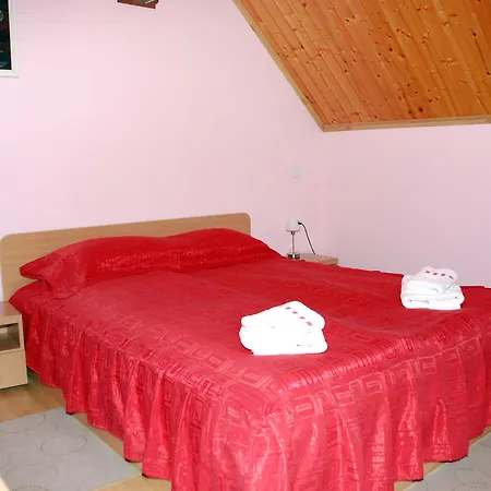 Guest house Pensiunea Stejarul