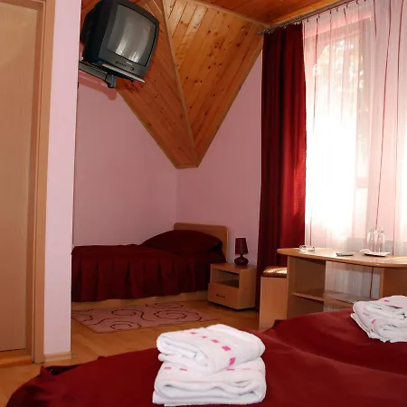 Pensiunea Stejarul Guest house Sighisoara